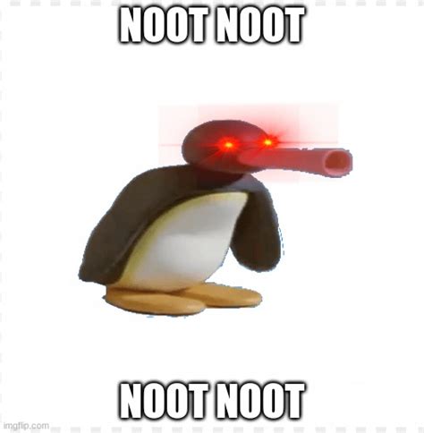 Noot Noot Meme Template Funny