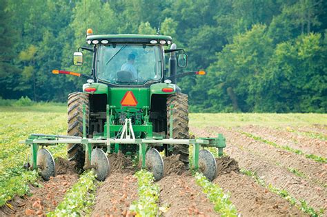 North Carolina Agriculture