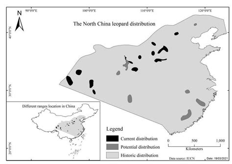 North China leopard's conservation status and threats