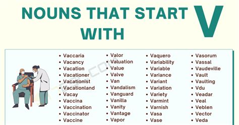 Nouns starting with V