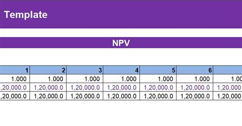 NPV Template Example