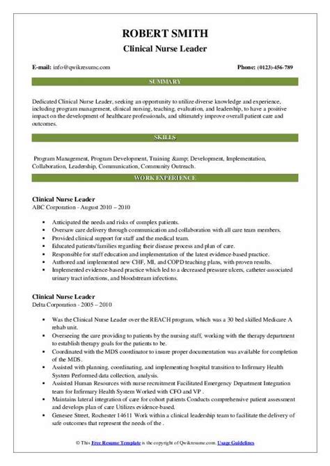 Nurse Leader Resume Template