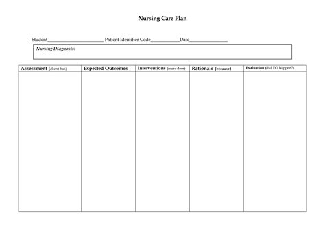 Nursing Care Plan Template Word