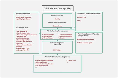 Nursing Concept Map Examples