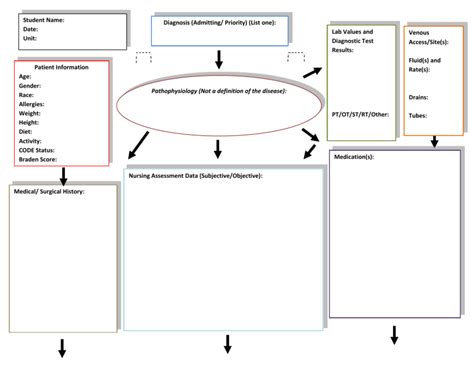 Nursing Concept Map Template 2