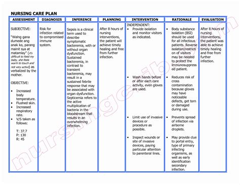 Nursing Diagnosis and Care Plan Template