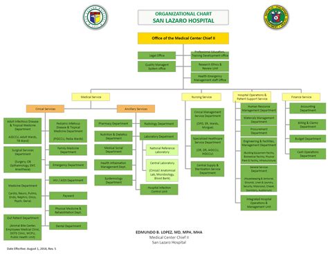 Nursing Organizational Chart Template Example