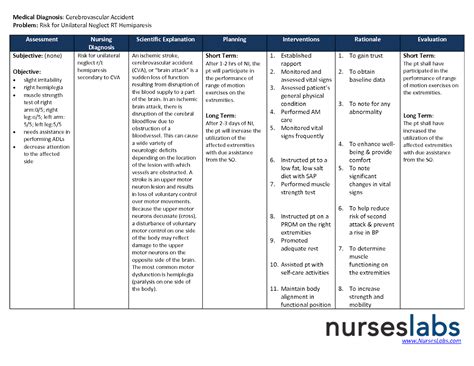 Nursing Plan of Care Form