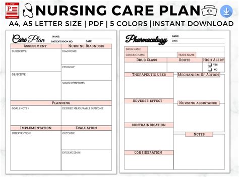 Implementing Nursing Plan of Care Template