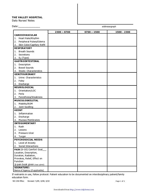 Nursing Template Example 4