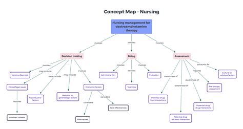 Nursing Theory Concept Map Examples