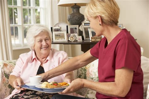 Nutrition in Care Homes