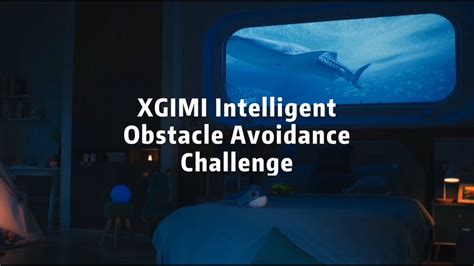 Obstacle Avoidance Challenges