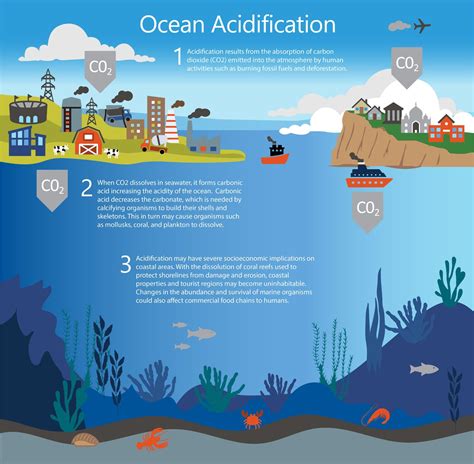 Ocean Acidification Impact