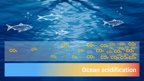 Ocean acidification