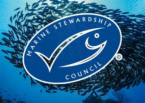 Ocean Stewardship and Conservation