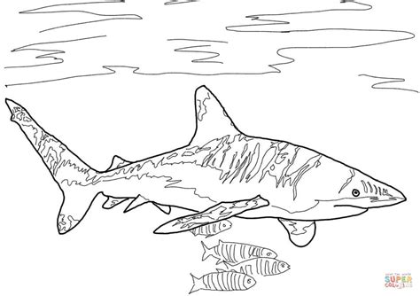 Oceanic Whitetip Shark Coloring Page