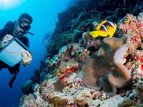 Oceanographer at work