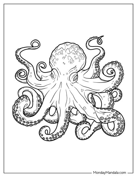 Octopus coloring page for adults