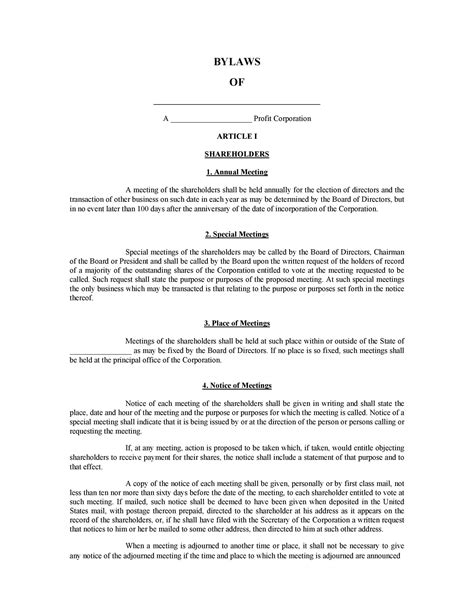 Officer and Director Bylaws Template Sample