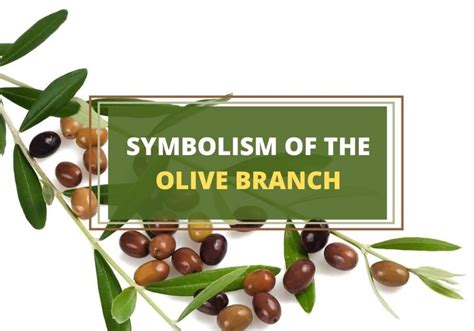 Olive Branch Symbol