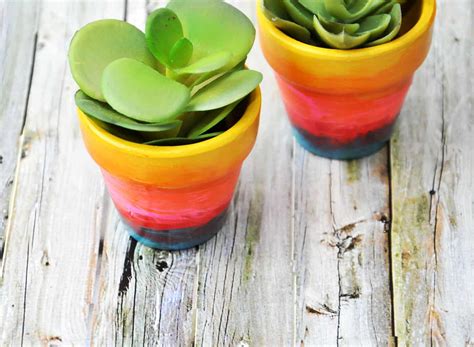 Ombre effect flower pot with gradient colors