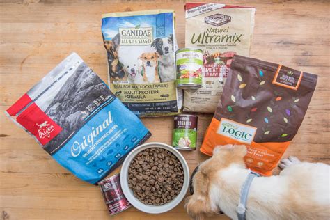 Online Retailers Offering Fresh Dog Food Options