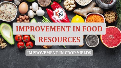 Online Food Resources