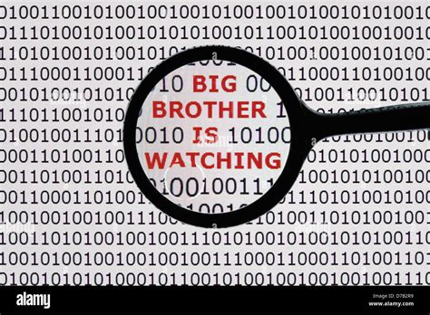 Online Monitoring Big Brother is Watching