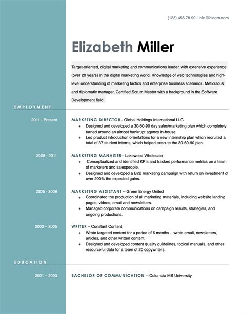 Open Office Resume Template 4