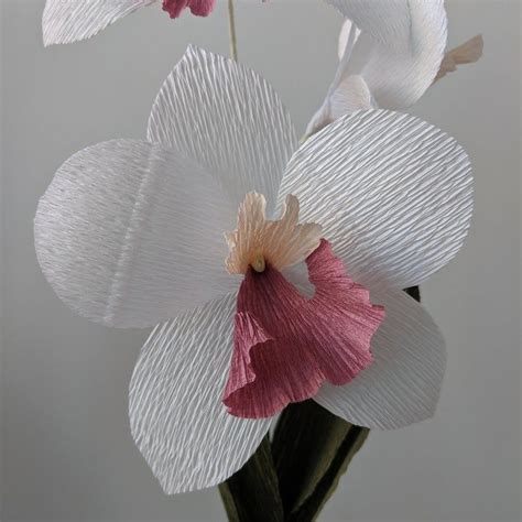 Orchid Crepe Paper Flower