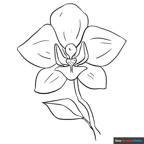 Orchid Garden Coloring Sheet