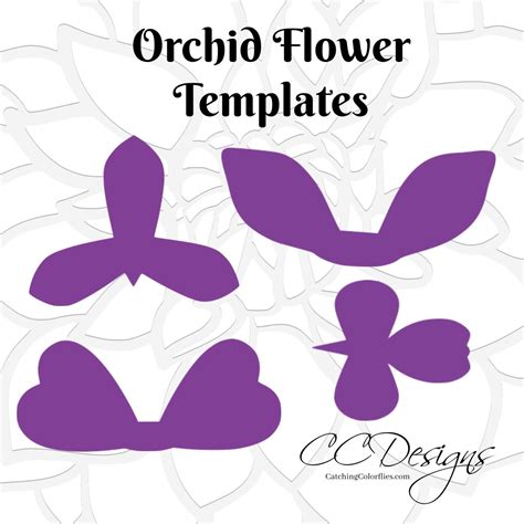 Orchid printable flower template