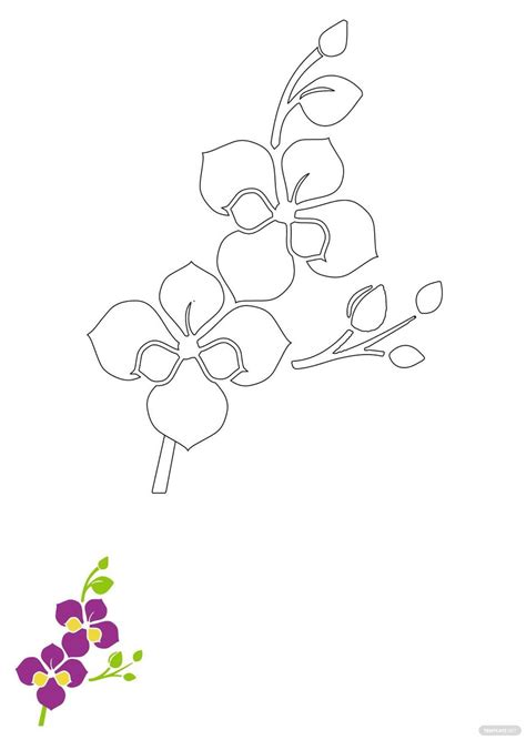 Example of Orchid Templates