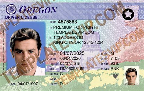 Oregon Driver's License Image