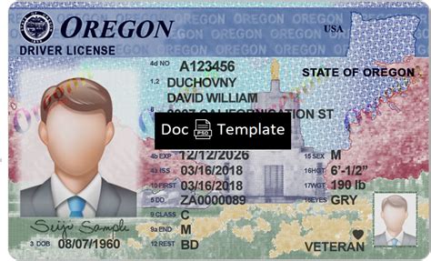 Oregon Driver's License Image 1