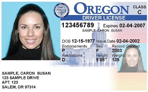 Oregon Driver's License Image 3