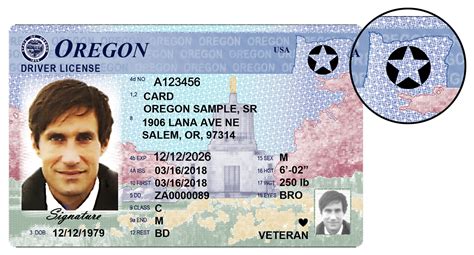 Oregon Driver's License Image 7