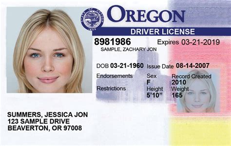 Oregon Driver's License Image 4