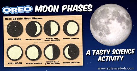 Oreo Moon Phases Diagram Image