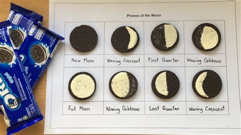 Oreo Moon Phases Worksheet for Kids Image