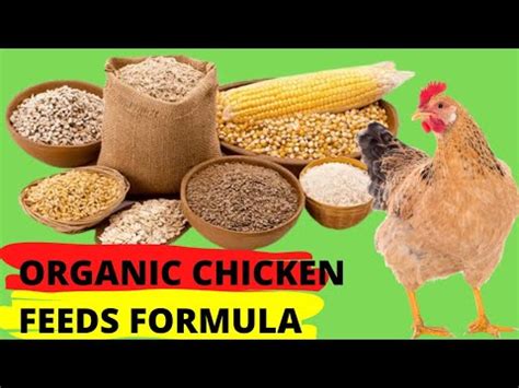 Organic Chicken Feed Image 1