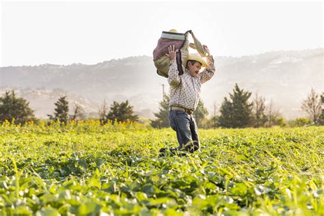 Organic Farming Practices