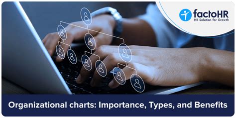 Importance of Organization Charts