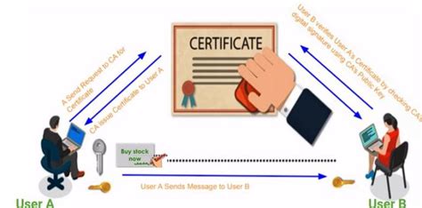 Using a digital certificate from your organization