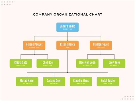 An organizational chart illustrating the different levels of authority in a chain of command