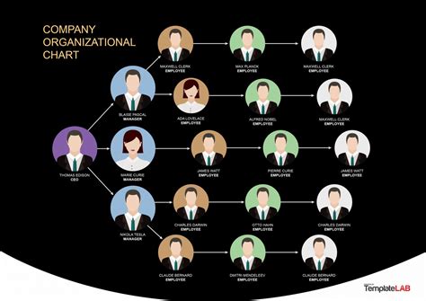 Organizational Chart Template for Large Teams