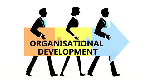 Organizational Development Specialist Role