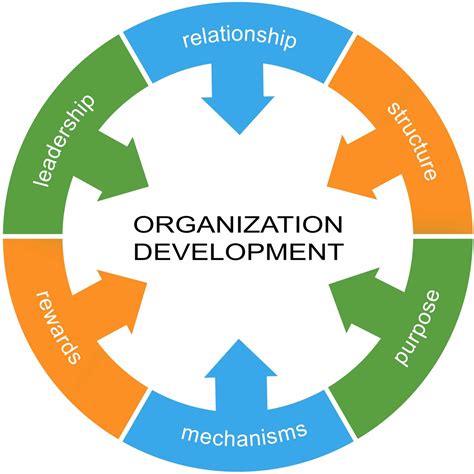 Organizational development for business growth