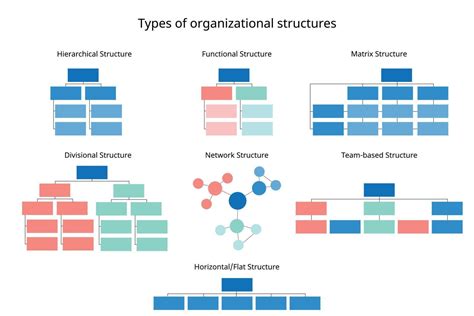 Organizational structure types